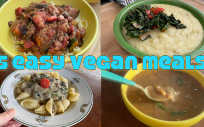 Cooking 5 Easy Meals From Happy Healthy Vegan Cookbook